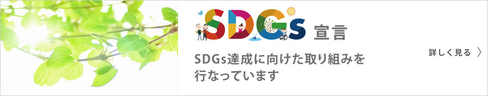 SDGs